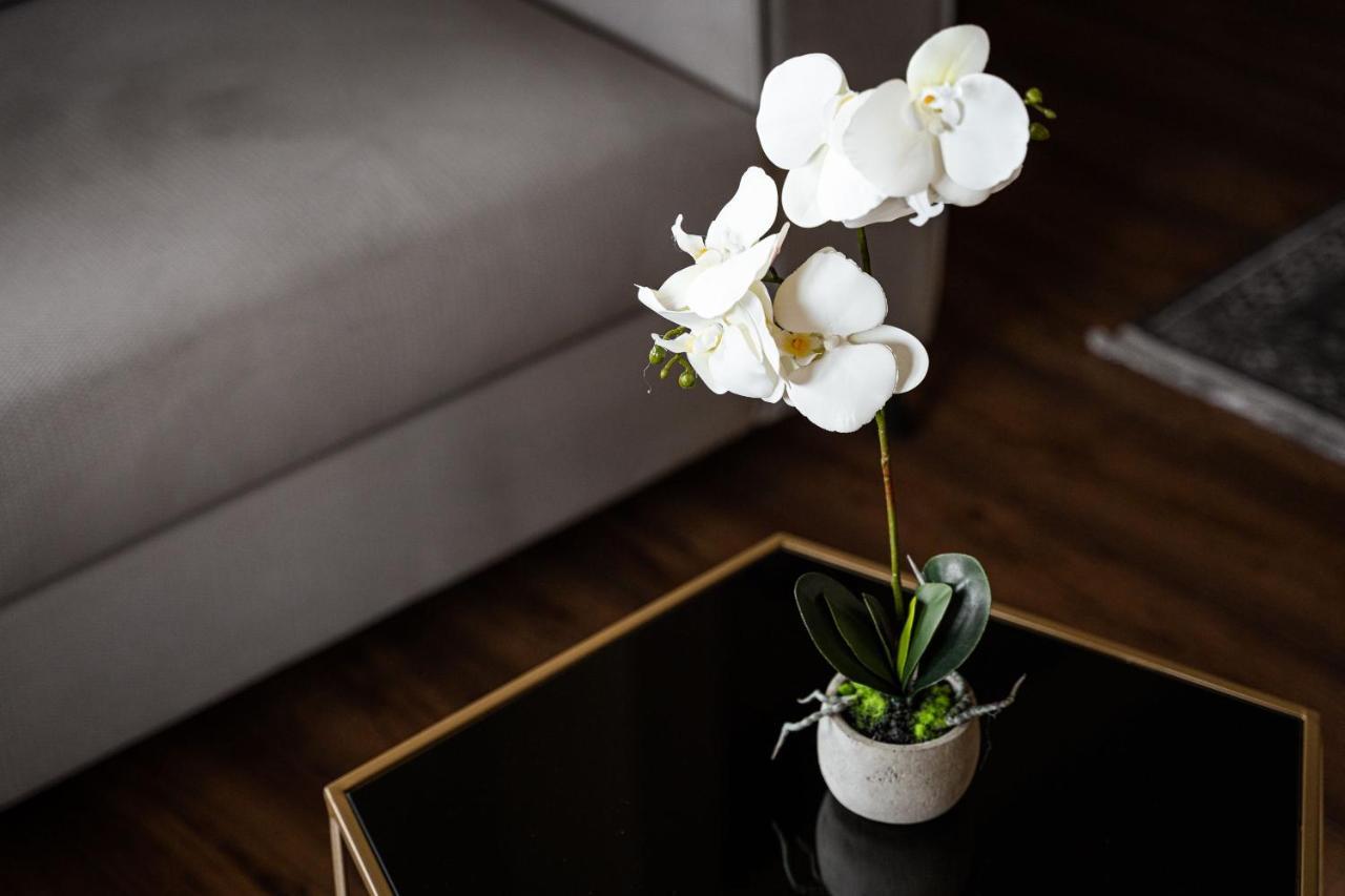 Glyfada Premium Residence Atény Exteriér fotografie